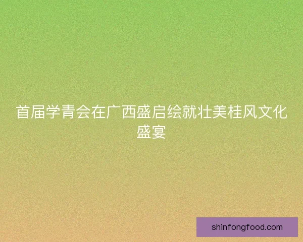 首届学青会在广西盛启绘就壮美桂风文化盛宴